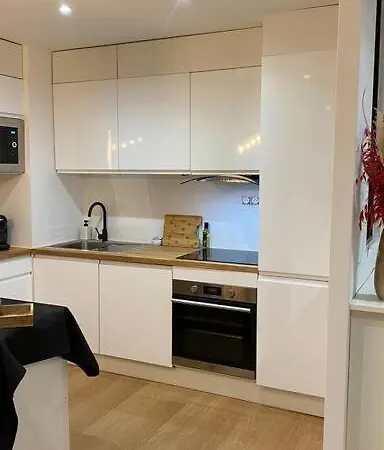 And Cosy Flat Near Geneva Or Annecy Apartment Bellegarde-sur-Valserine