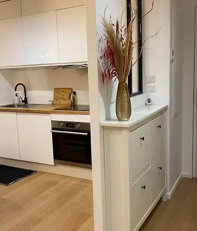 And Cosy Flat Near Geneva Or Annecy Apartment *