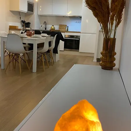 Apartment And Cosy Flat Near Geneva Or Annecy